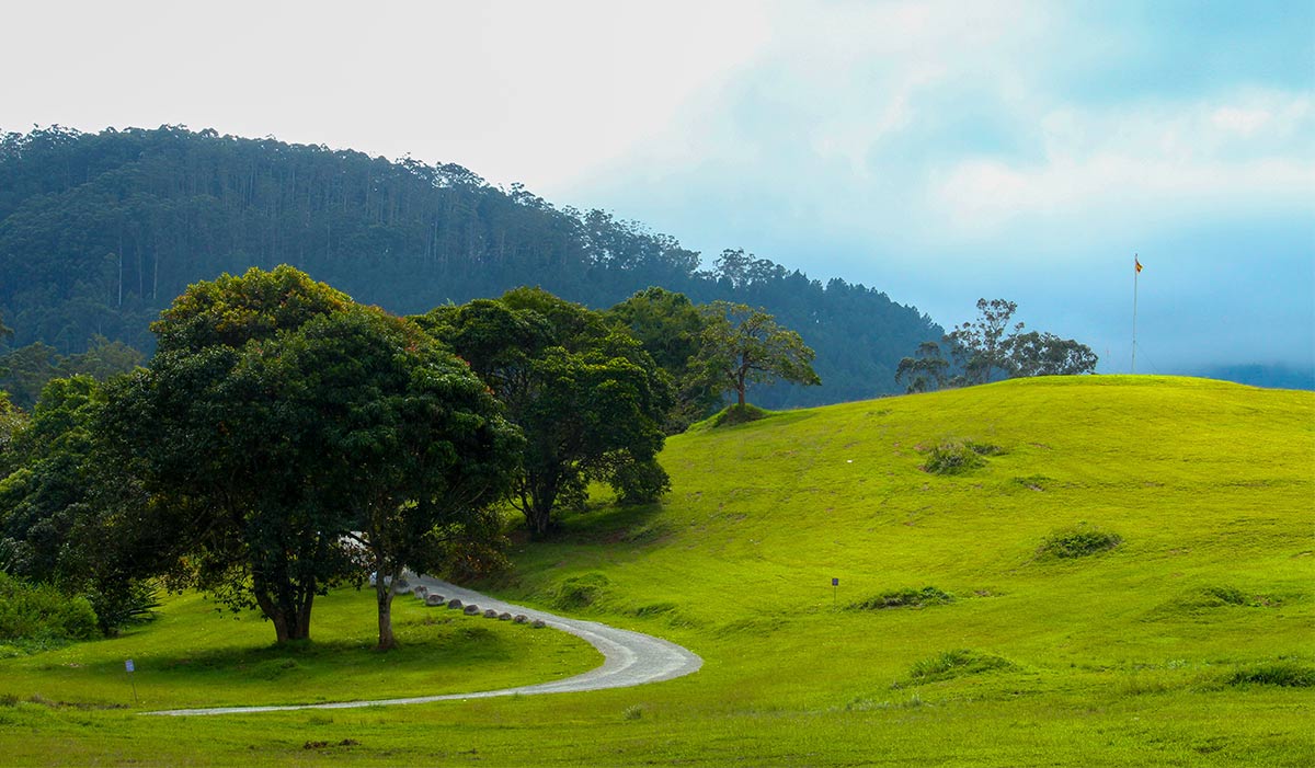 travel-sri-lanka-to-entertain-eyes